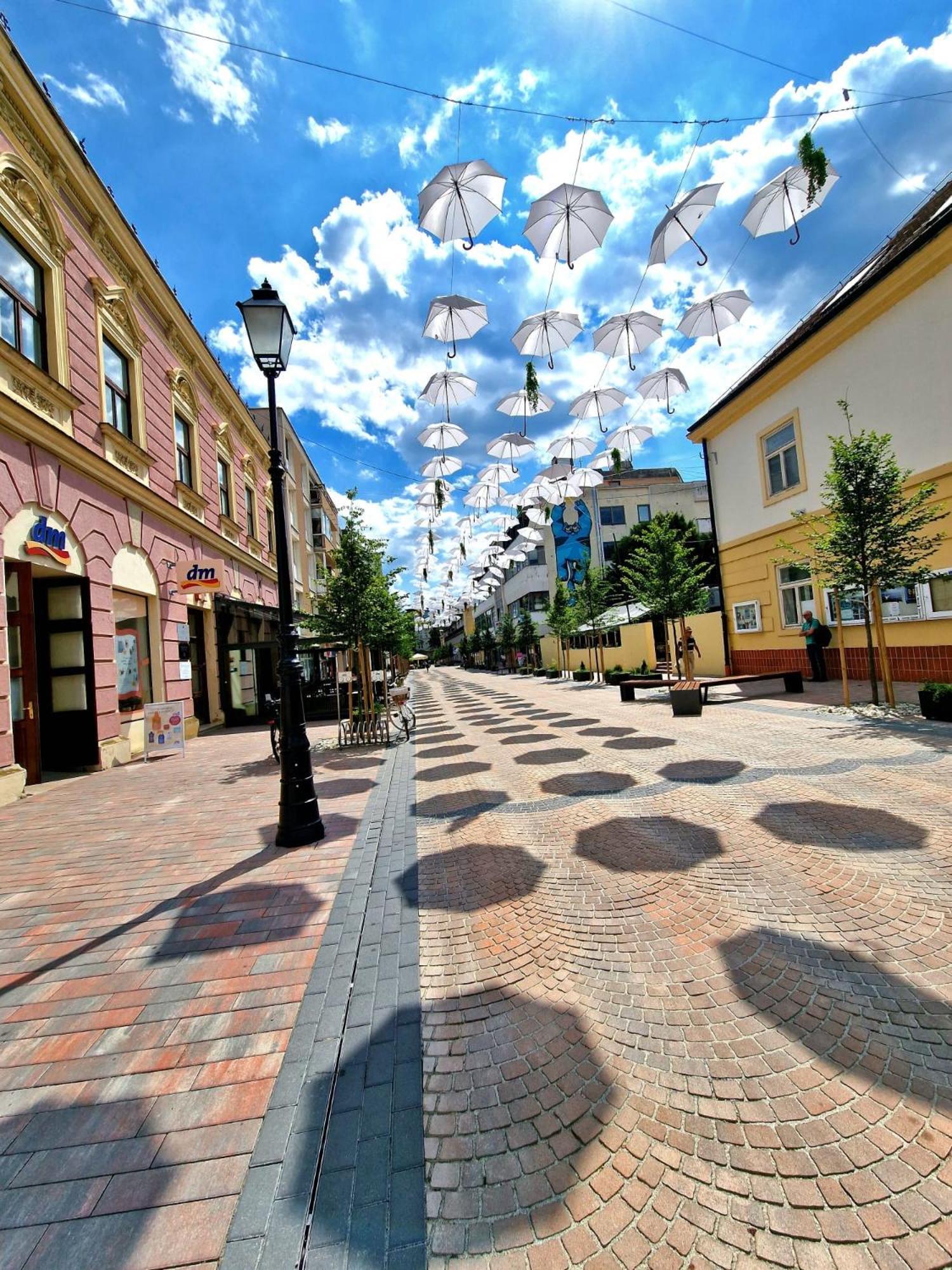 Studio Apartman Varadero Бйеловар Екстериор снимка
